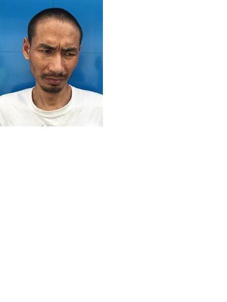 流浪人员无名氏1800，深乐邦照片，让爱回家
