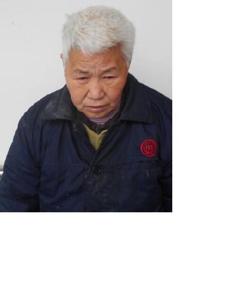流浪人员党爱护照片，让爱回家