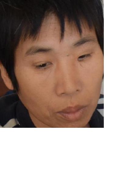 流浪人员毛傻妮照片，让爱回家