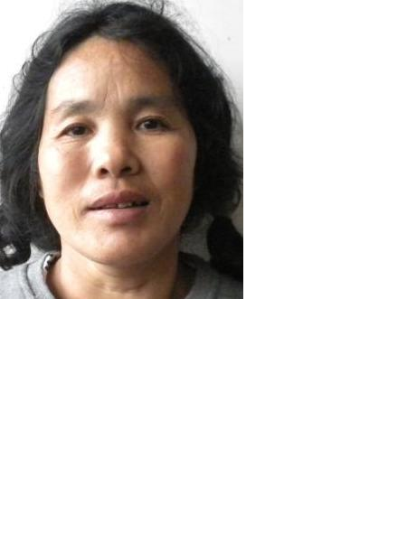 流浪人员2015-4-20照片，让爱回家