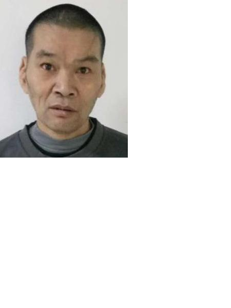 流浪人员无名氏B19（惠民松）照片，让爱回家