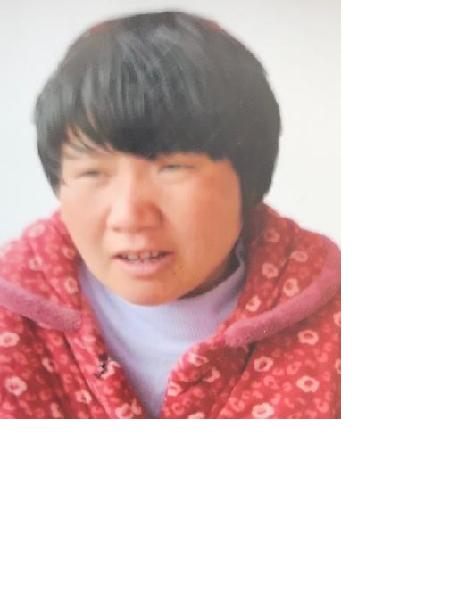 流浪人员苗安4号照片，让爱回家