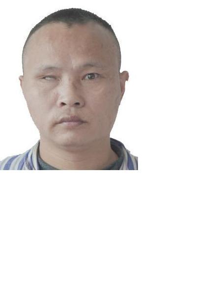 流浪人员20151362照片，让爱回家