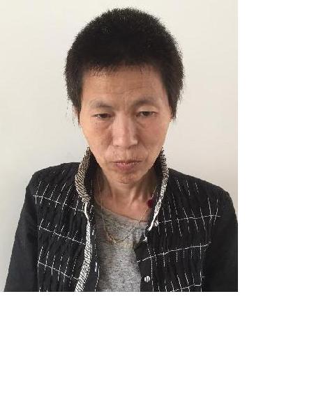 流浪人员亲和33照片，让爱回家