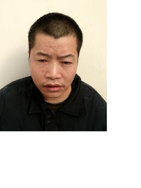 流浪人员无名氏五照片，让爱回家