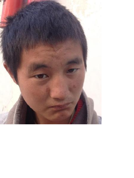 流浪人员无名氏照片，让爱回家
