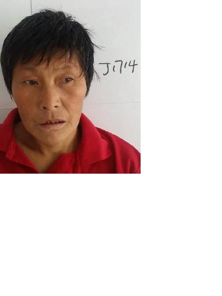 流浪人员1714照片，让爱回家