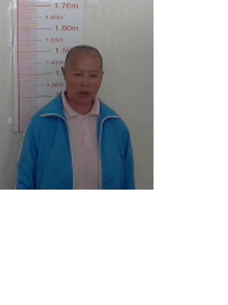 流浪人员滨海所照片，让爱回家