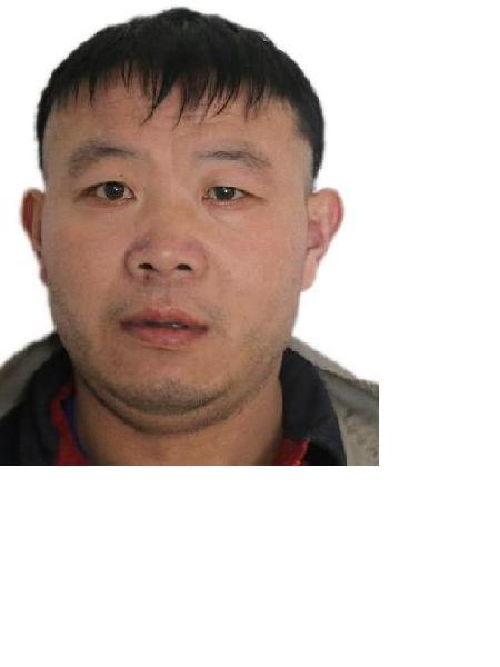 流浪人员无名氏照片，让爱回家