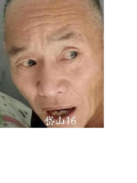 流浪人员岱山16照片，让爱回家