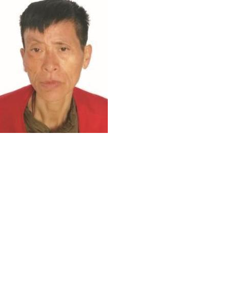 流浪人员刘一凤照片，让爱回家