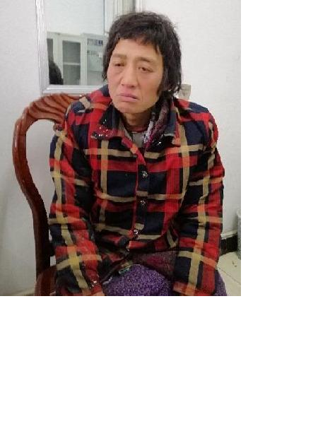 流浪人员鹿救27照片，让爱回家