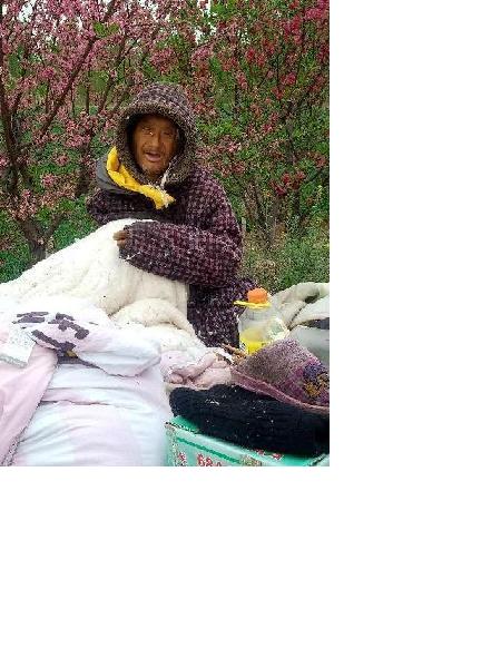流浪人员无名氏照片，让爱回家