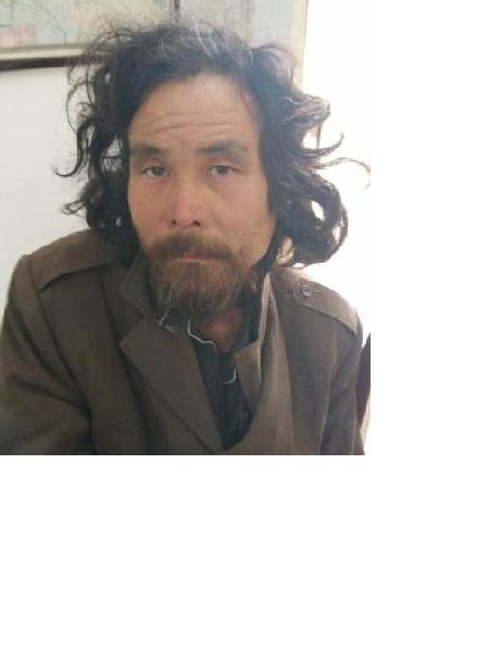 流浪人员政车管照片，让爱回家