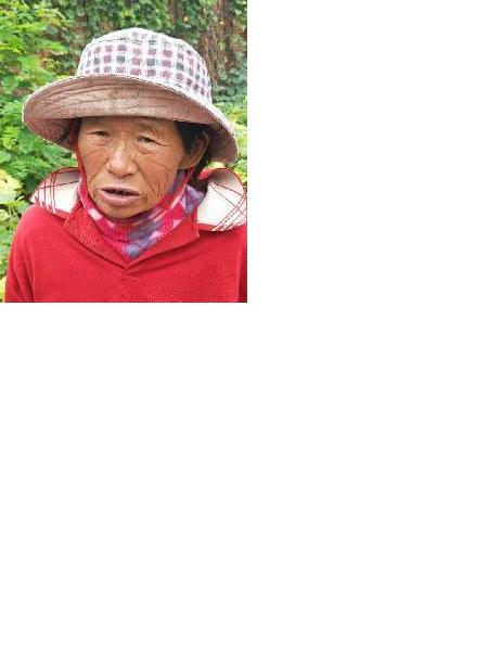 流浪人员无名氏照片，让爱回家