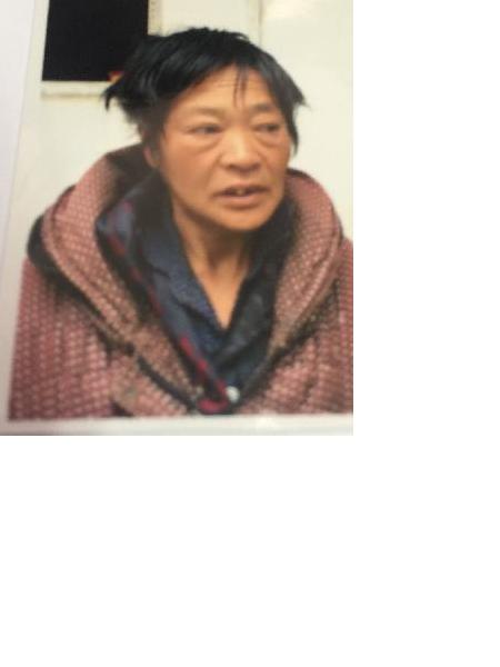流浪人员党唱（城东1号）照片，让爱回家