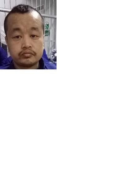 流浪人员杨怀朝照片，让爱回家