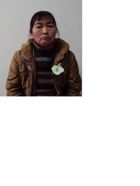 流浪人员罗陈月英照片，让爱回家