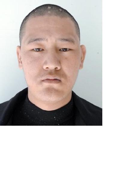 流浪人员双榆照片，让爱回家