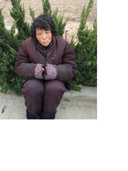 流浪人员陈咏莲照片，让爱回家