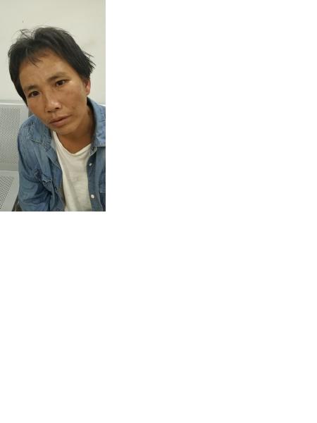 流浪人员狮12照片，让爱回家