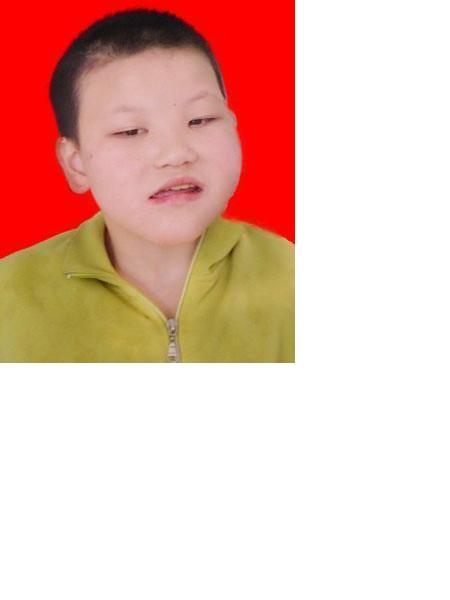 流浪人员福丽照片，让爱回家