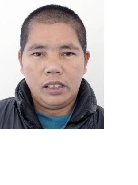 流浪人员尹娜照片，让爱回家