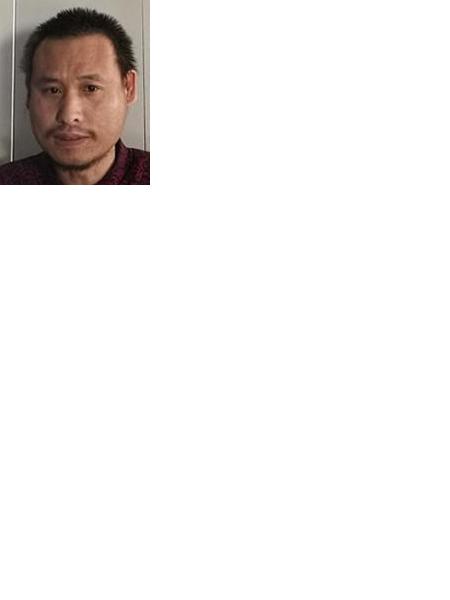 流浪人员不详照片，让爱回家