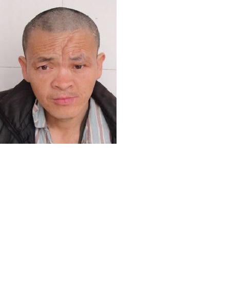流浪人员无名氏照片，让爱回家