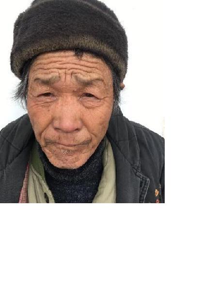 流浪人员解集6号照片，让爱回家