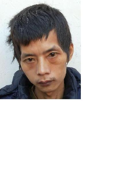流浪人员无名氏照片，让爱回家
