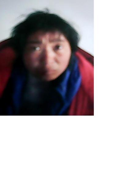 流浪人员将丽丽照片，让爱回家