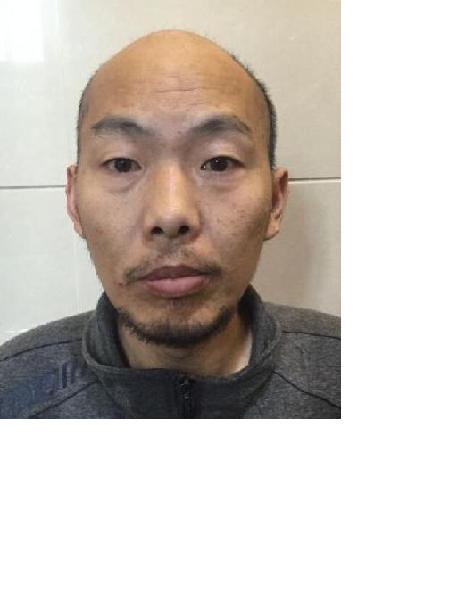 流浪人员武已齐照片，让爱回家