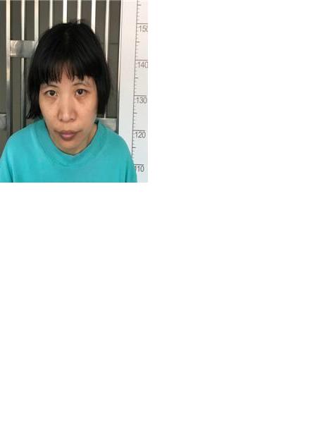 流浪人员开发992照片，让爱回家