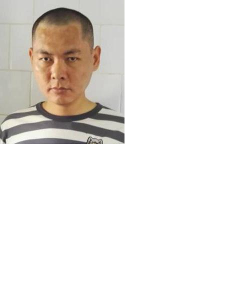 流浪人员中坤11号照片，让爱回家