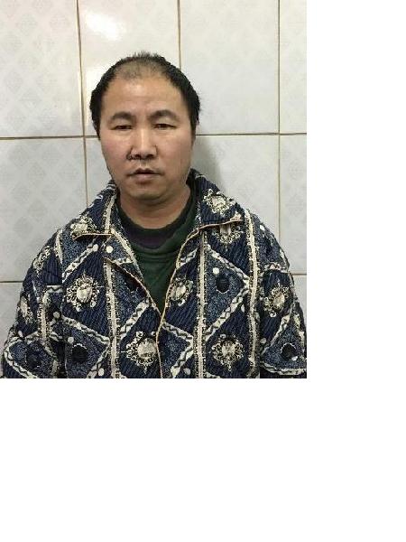 流浪人员无名花照片，让爱回家