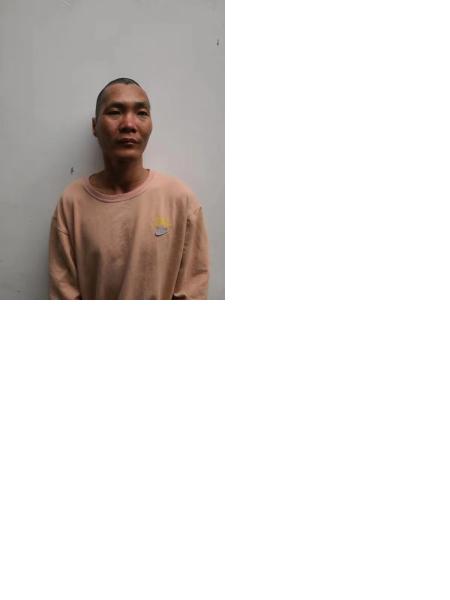 流浪人员高石103照片，让爱回家