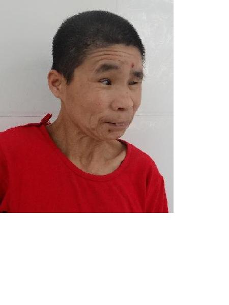 流浪人员党淑华照片，让爱回家
