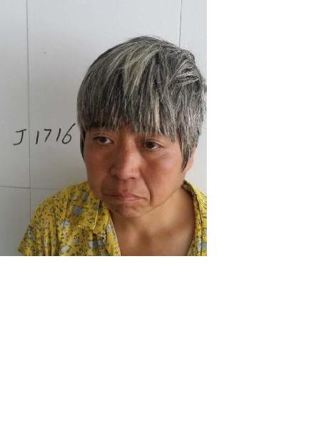 流浪人员1716照片，让爱回家