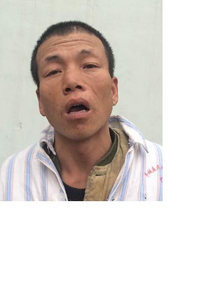 流浪人员福利27照片，让爱回家