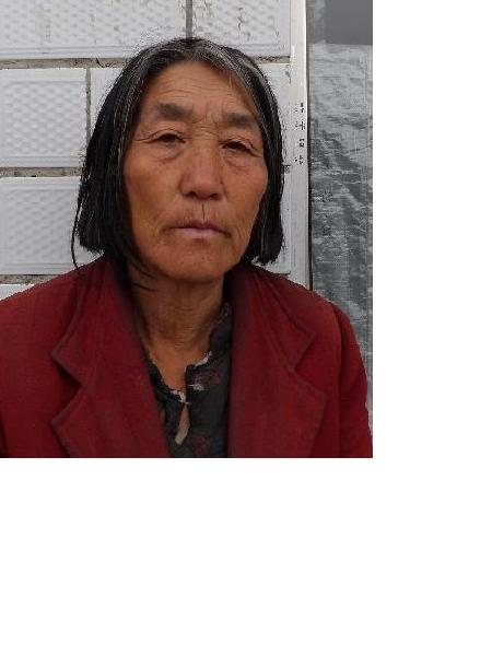 流浪人员无名氏2照片，让爱回家