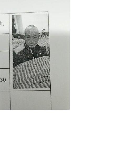 流浪人员无名氏新九十九照片，让爱回家