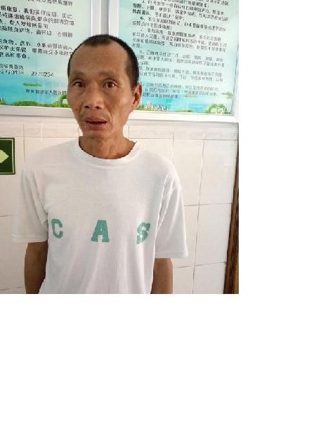 流浪人员高留31照片，让爱回家