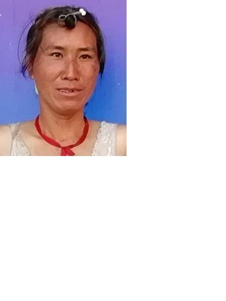 流浪人员编号253照片，让爱回家