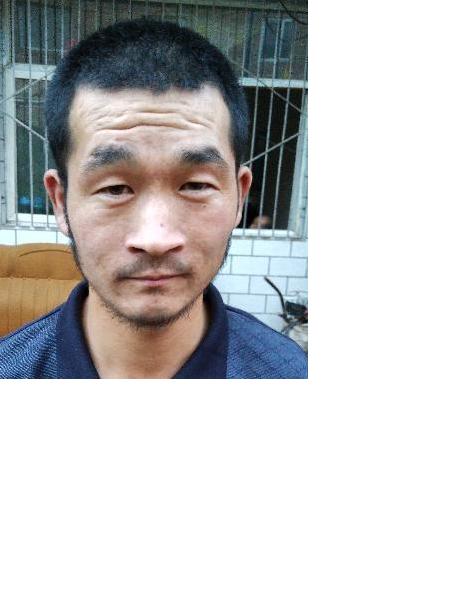 流浪人员牛牛照片，让爱回家