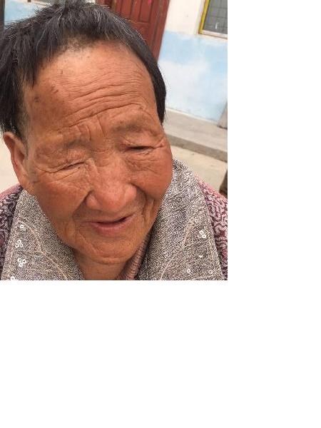 流浪人员党35照片，让爱回家