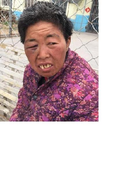 流浪人员党30照片，让爱回家