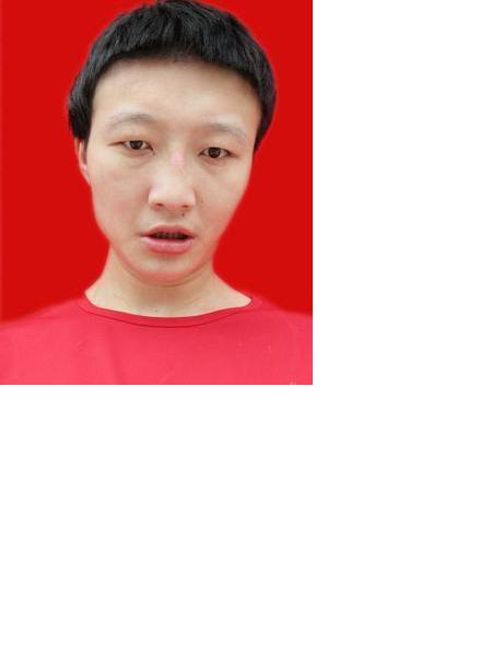 流浪人员毛家兔照片，让爱回家