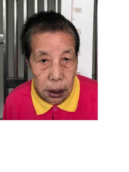 流浪人员港口617照片，让爱回家
