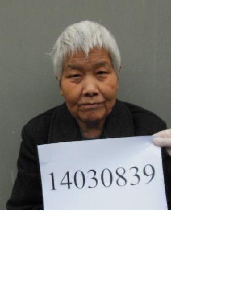 流浪人员沈卫婷照片，让爱回家